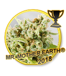 Mr Hide Seeds  Mr.Mother Earth® 1 Semilla Feminizada