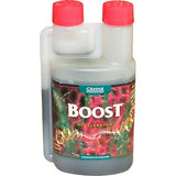 Boost Acelerator 250 ml Canna