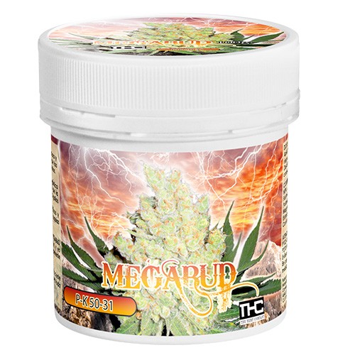 Megabud 100 gr. THC