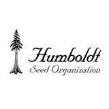 Black D.O.G. 5 Fem. Humboldt Seeds organization