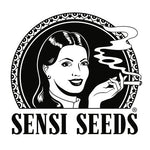 Sensi Seeds Black Domina 3 Fem.