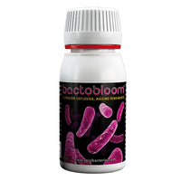 Bactobloom 10 gr