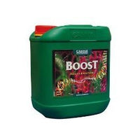 Boost Acelerator 250 ml Canna