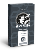 Semillas de Alpine Delight 
 AutoCBD. Sensi Seeds Research