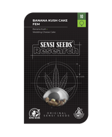 Sensi Seeds research Banana Kush Cake feminizada