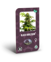 Semillas de Black Harlequin Feminizada

AutoCBD. Sensi Seeds Research