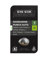 Semillas de Mandarin Punch 

[Maple Leaf Indica x White Widow x NYC Diesel x Hindu Kush]

 Auto. Sensi Seeds Research