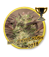 Mr Hide Seeds MrJekyll Kush 1 Semilla Feminizada