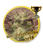 Mr Hide Seeds MrJekyll Kush 1 Semilla Feminizada