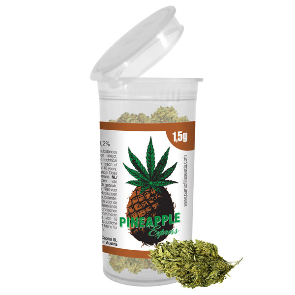 Las flores de cáñamo PINEAPPLE EX 1.5G contienen 5-7% CBD / CBDA