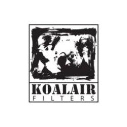 Filtro Antiolor Boca 100x150 Filtrokoa (180 m3/h)