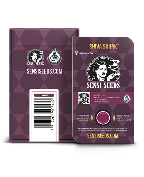 Shiva Skunk Feminizada. Sensi Seeds.