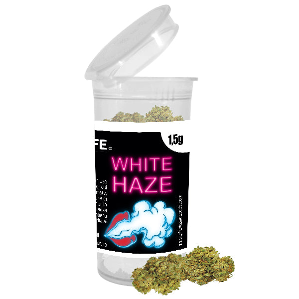 WHITE HAZE 1.5G Las flores de cáñamo contienen 4-6% de CBD