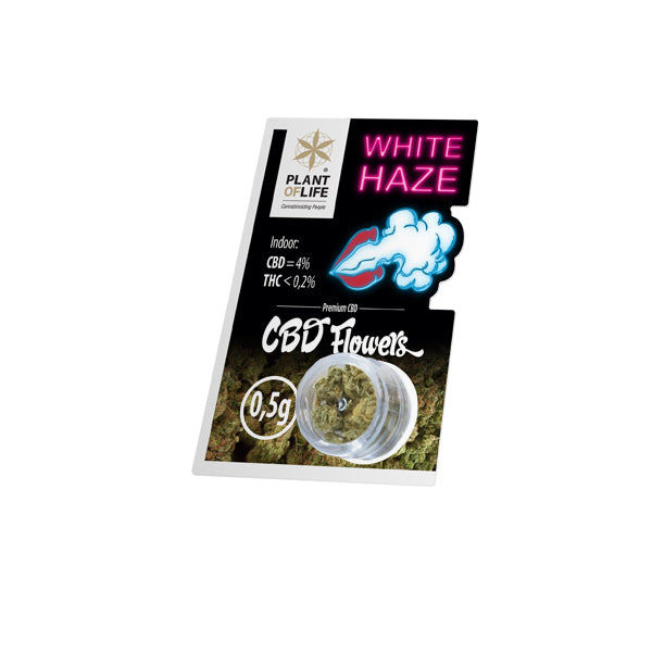 Las flores de cáñamo WHITE HAZE 0.5G contienen 4% de CBD / CBDA